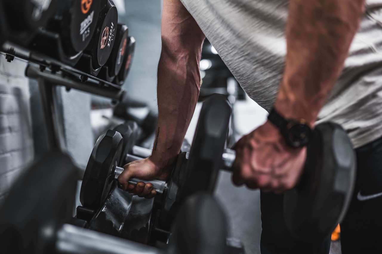 Biceps Muscle Building Program Brace Your Cuffs